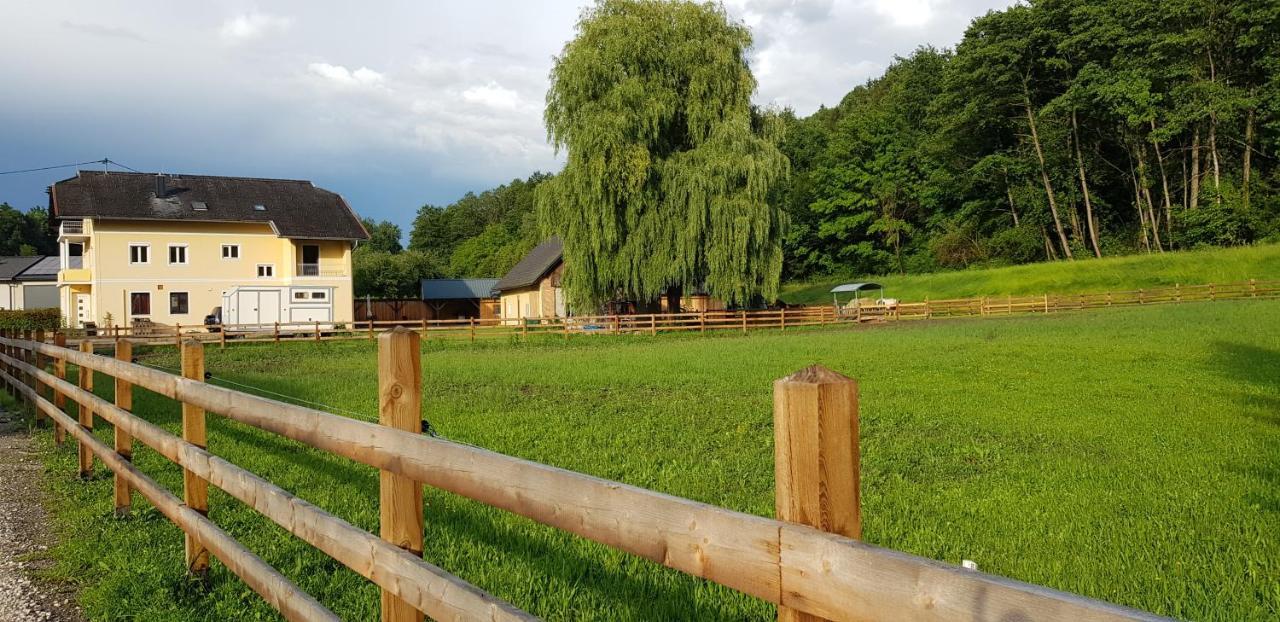 Апартаменты Haus Seidendorf Санкт-Канциан Экстерьер фото